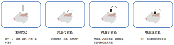 Typical Applications of Brain Stereotaxic Instrument