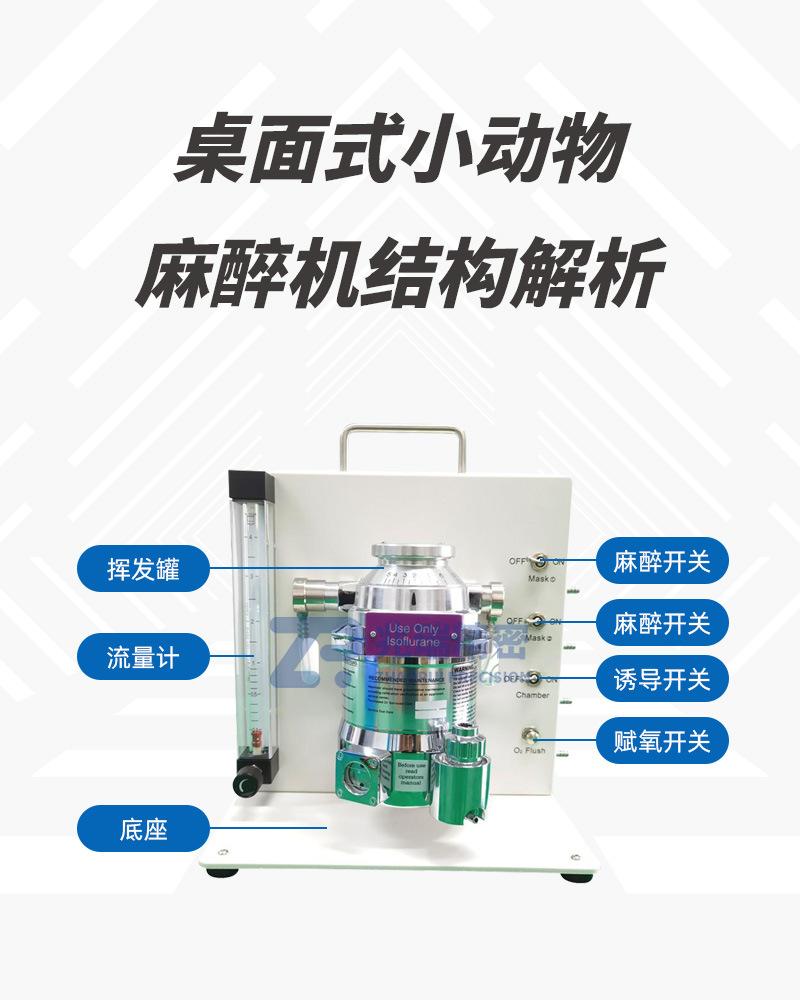 M5210 Dual-channel Desktop Small Animal Anesthesia Machine.jpg