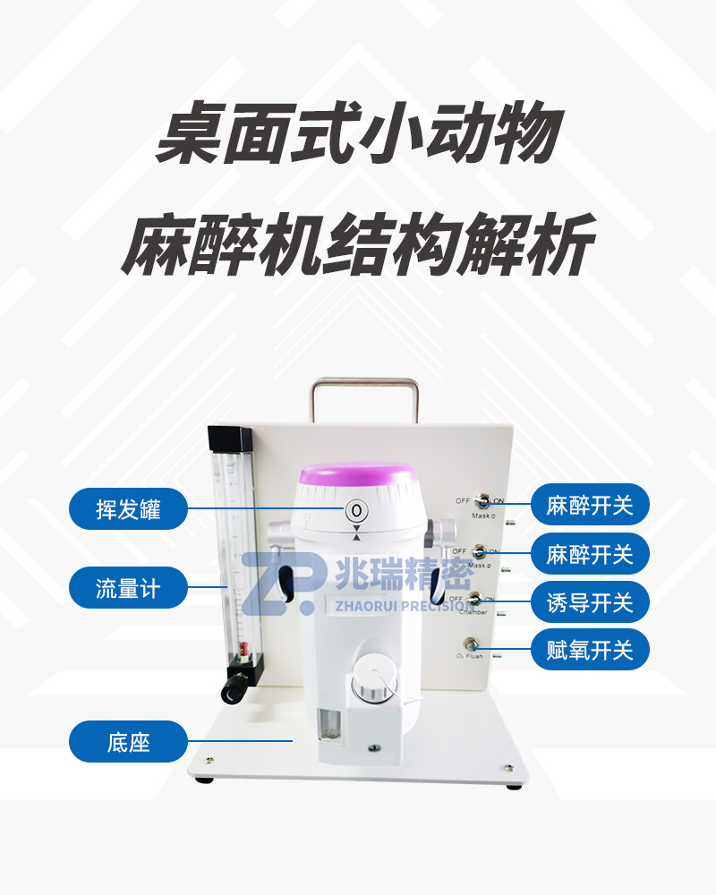M5281 Dual-channel Desktop Small Animal Anesthesia Machine.jpg