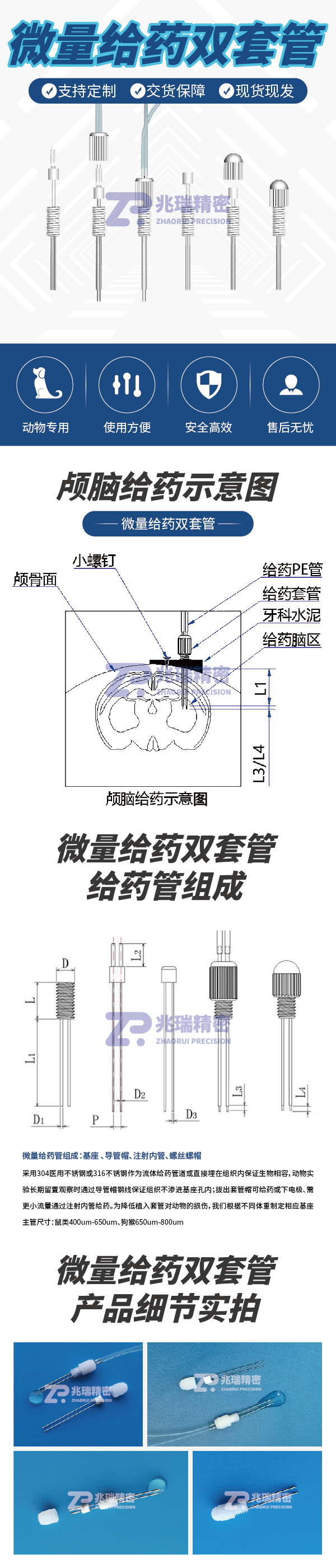 Dual Microinjection Cannula_Zhaorui.jpg